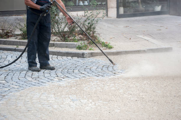 Animal Enclosure Cleaning in Maplewood, WA